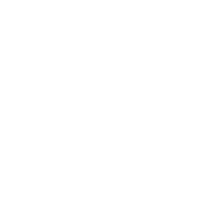 P_Vitamix