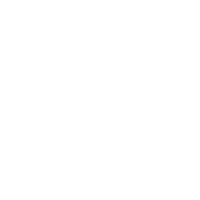 P_Welbit